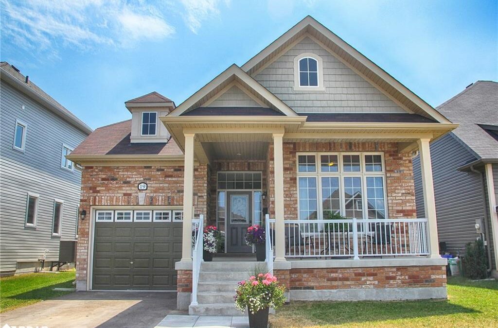 19 Elphick Street, Angus